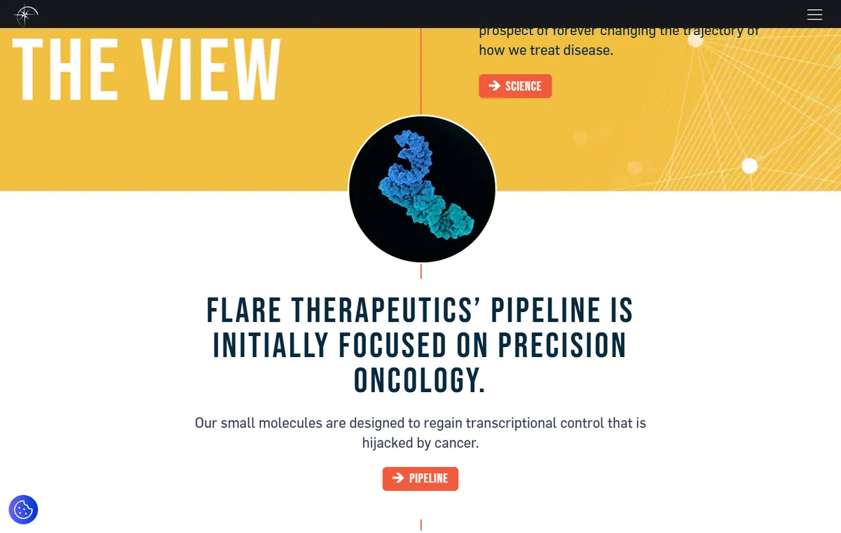 Flare Therapeutics, view 2